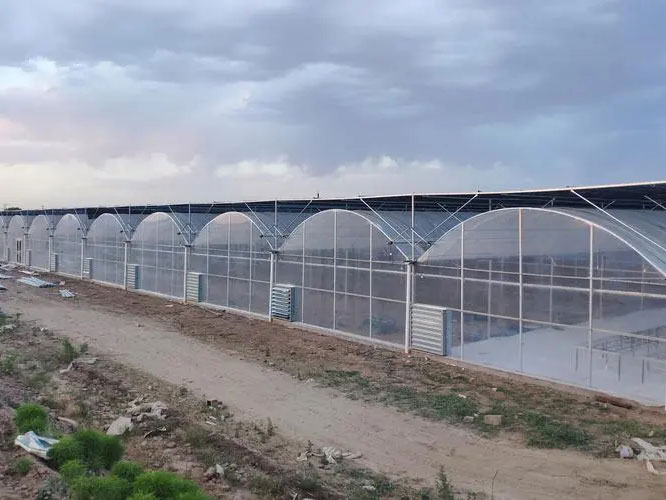 連棟薄膜溫室