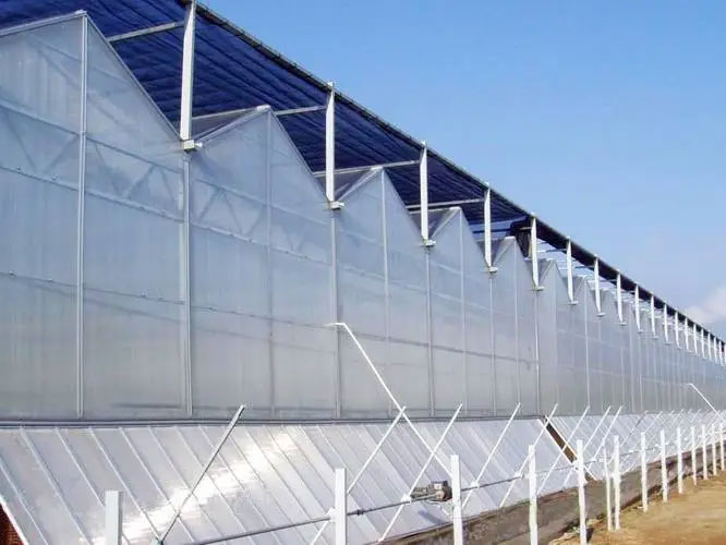 陽(yáng)光板溫室